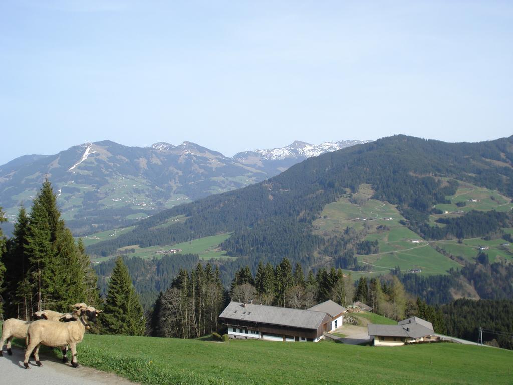 Biobauernhof Fleckl Villa Hopfgarten im Brixental Kültér fotó